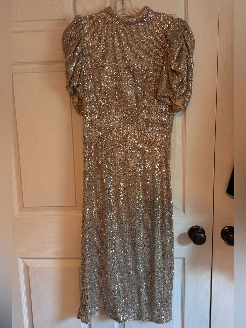 Sequin Embellished Women's dress in Champagne